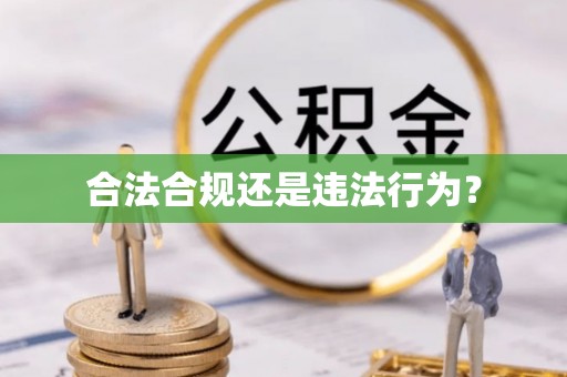 萨尔图合法合规还是违法行为？