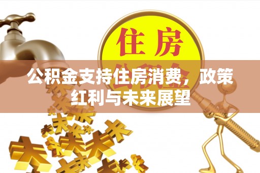 萨尔图公积金支持住房消费，政策红利与未来展望