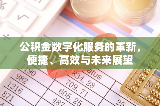 萨尔图公积金数字化服务的革新，便捷、高效与未来展望