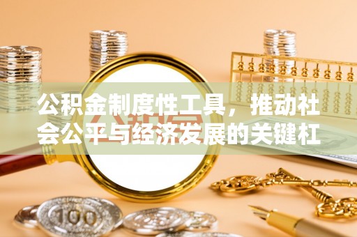 萨尔图公积金制度性工具，推动社会公平与经济发展的关键杠杆