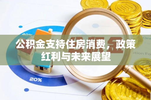 萨尔图公积金支持住房消费，政策红利与未来展望
