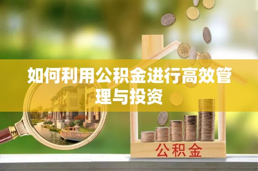 萨尔图如何利用公积金进行高效管理与投资