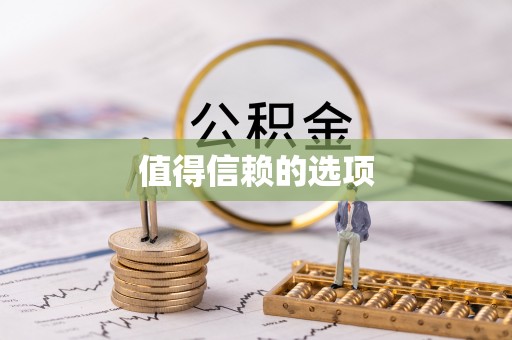 萨尔图值得信赖的选项