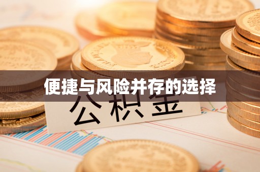 萨尔图便捷与风险并存的选择