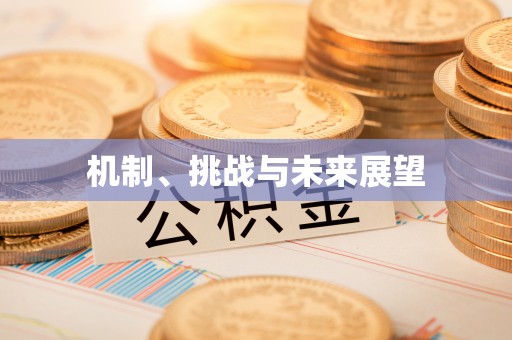 萨尔图机制、挑战与未来展望