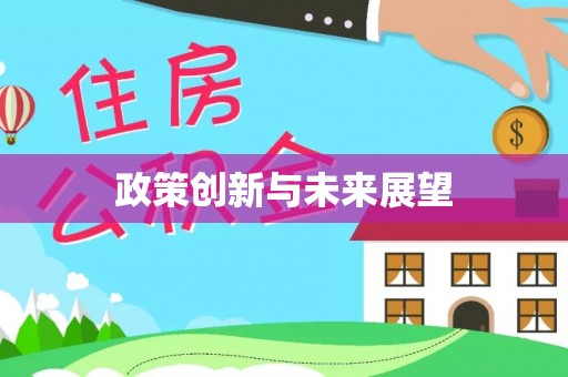 萨尔图政策创新与未来展望