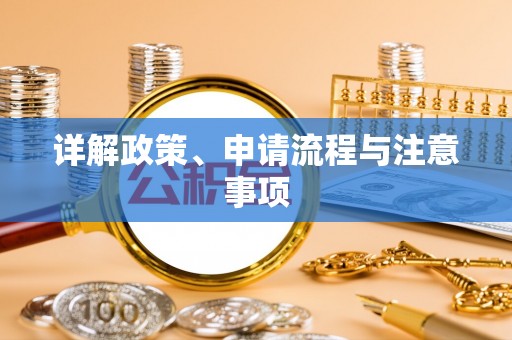 萨尔图详解政策、申请流程与注意事项