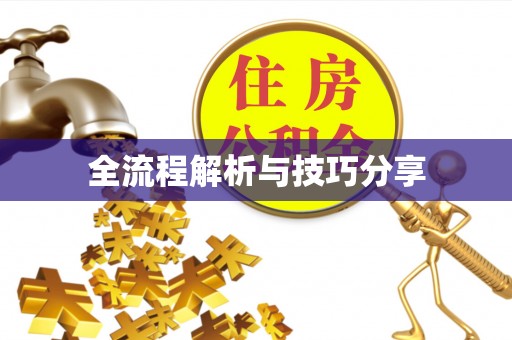萨尔图全流程解析与技巧分享