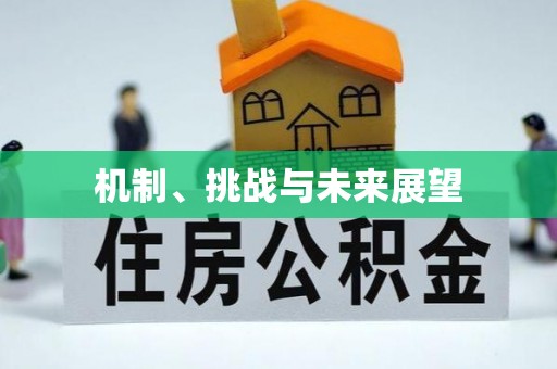 萨尔图机制、挑战与未来展望