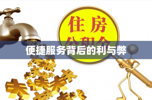 萨尔图便捷服务背后的利与弊