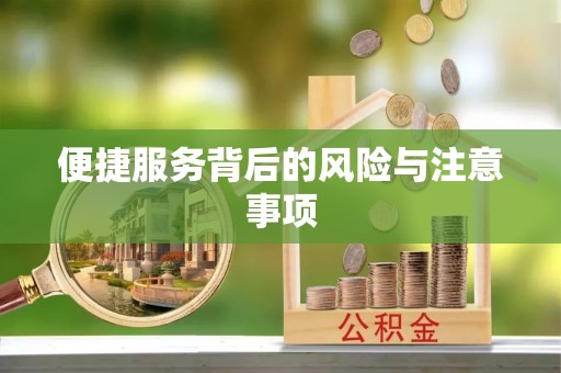 萨尔图便捷服务背后的风险与注意事项